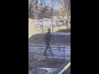 Полиция Новороссийска ищет мужчину, попавшего на это видео 

Он подозревается в совершении преступления против половой неприкосн