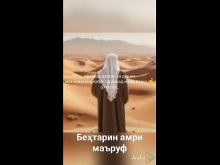 Беҳтарин Амри маъруф(720P_HD).mp4