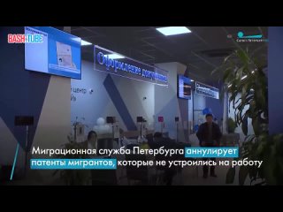 🇷🇺 В Санкт-Петербурге заявили о намерении выгнать всех безработных мигрантов