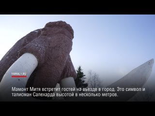 Встретить мамонта и перешагнуть Полярный круг