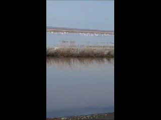 Видео от Рыбалка в Оренбургской Области