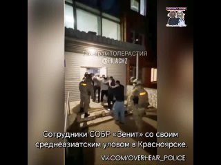 Сотрудники СОБР «Зенит» со своим среднеазиатским уловом в Красноярске.