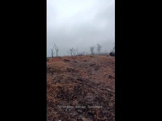 Кладбище уничтоженной украинской бронетехники на Запорожском направлении