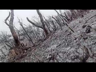 : самые звонкие события уходящего дняГЕРОЙ ДНЯ Это видео с  передовой пробрало до костей. Холод, грязь, тосклив