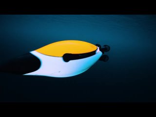 Робот-пингвин EvoLogics Quadroin покоряет морские глубины