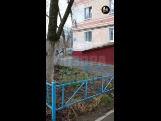 Женщина развела рыгаловку в подвале - Саранск
