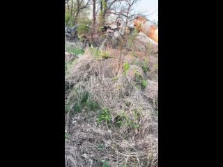 Кадры сгоревшего в лесопосадке остова вертолета МИ-8 ВСУ, сбитого где-то в небе Донбасса|U_G_M| (https://t.