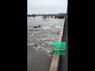 Это видео с реки Ишим в селе Покровка (Казахстан) в ~200 км от города Ишим.