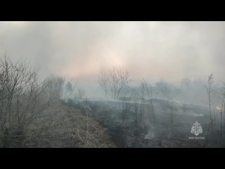 С 9 апреля постановлением Правительства Амурской области в Зейском муниципальном округе и городе Зее установлен особый противопо