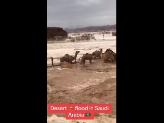 Кадры искусственно вызванной климатической катастрофы в Саудовской Аравии.