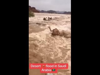 Искусственно вызванное наводнение в Саудовской Аравии
