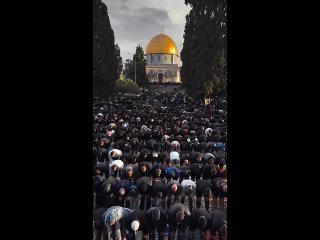 Les Palestiniens ont assist aux prires de l'Ad al-Fitr  la mosque Al-Aqsa