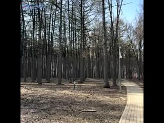 Video by ИА За Новомосковск.mp4