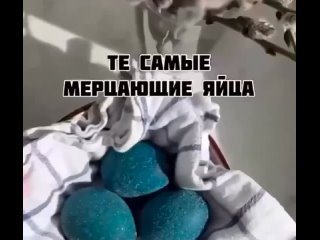 Красим яйца к пасхе