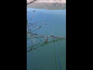 Video từ fish_is_fishing