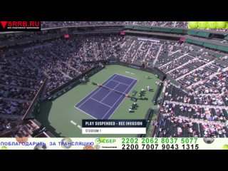Теннис.  Александр Зверев -  Карлос Алькарас. 1/4 финала ATP 1000.  Индиан-Уэллс. 15 марта 2024.
