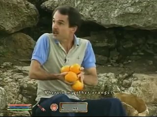Oblivion NPC Dialogue - Oranges
