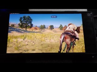 [Serg Pavlov] Red Magic 9 Pro: Red Dead Redemption 2 () /mobox Wow64 (Snap 8 Gen 3) (Vulkan -NOT playable)