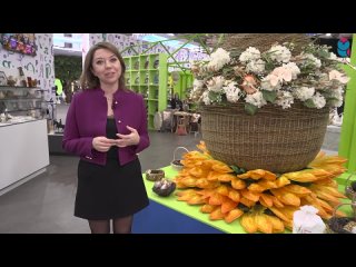 Video by СОВА |  Новости Самары и области
