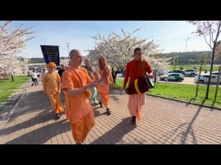 Sring is manifesting. Harinam in Sakura park in Vilnius, Lithuania.