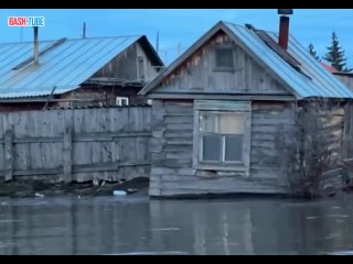 🇷🇺 Свыше 500 жилых домов и приусадебных участков затоплено в результате паводка в Курганской области, - МЧС