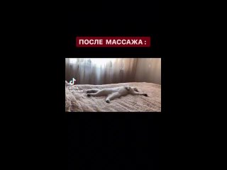 Видео от PRO BODY-Аппаратный массаж | Новодвинск