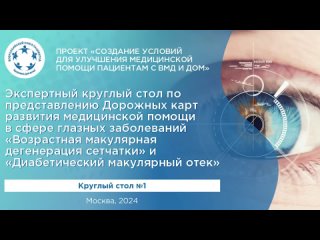 Круглый стол №1. Представление Дорожных карт по ВМД и ДМО, 2024