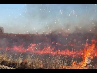 За прошедшие сутки в Приамурье зарегистрировано 13 очагов горения сухой растительности на общей площади около 100 га. Все загора