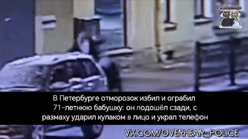 В Петербурге отморозок избил и ограбил 71 летнюю бабушку: он