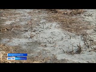 Завод нарушает закон, ответственные ведомства это признают, но ничего не происходит