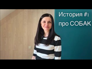 История #1 про Собак