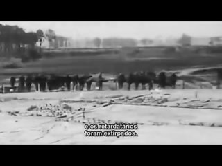 Primeira Guerra Mundial - documentario , BBC - 6 Captulo - Rompendo a Paralisia - legendas em portugues