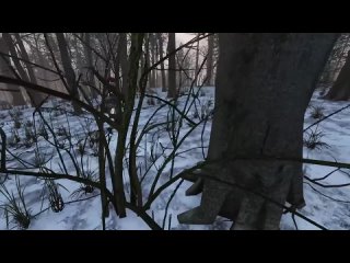 [BLACKWOOD] Dayz - Погоня ценою в жизнь