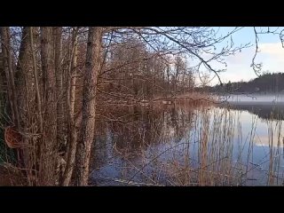 Видео от Дача на Тихой (Отдых в Приозерске)