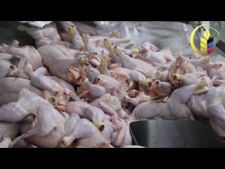 В 2023 году в ДНР произвели почти 28 тыс. тонн мяса птицы