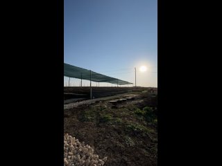 Видео от Улиточная ферма “Моллюска“