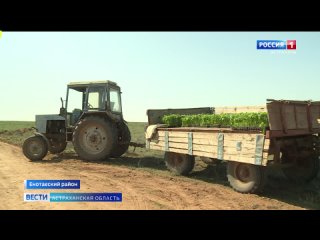 В Астраханской области начали высаживать рассаду в открытый грунт