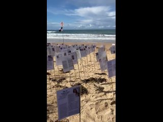 Лес павших на пляже Северного Сиднея,серферы выходят из моря и уходят в море.Кто умер из-за экспериментальной вакцины мРНК Cov