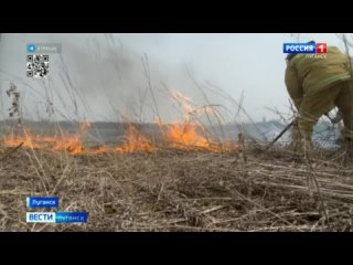 Пожарные борются со стихией: число пожаров в ЛНР резко возросло