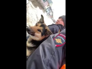 Очередная собака спасена. Работает ППС Оренбурга