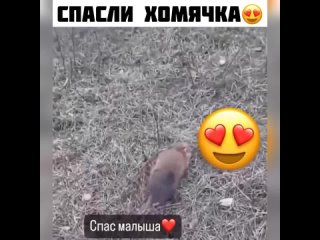 Сделай сам!