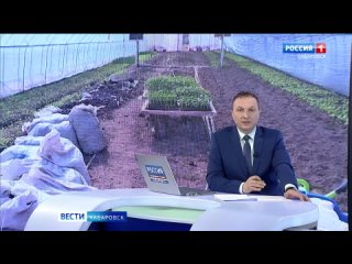 Сельскохозяйственный стартап: в среднем по 30 млн рублей получают от края фермеры-новички
