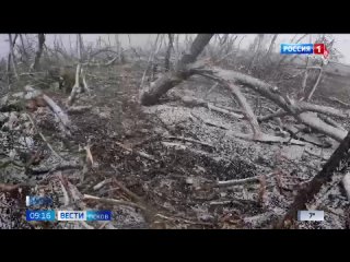 Воздушная разведка. Такую миссию на СВО выполняют дроны. Сейчас эту технику активно используют военные. С ней работает и Григори