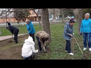 ГБУСО “Советский КЦСОН“tan video