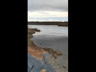 Видео от “Клевое место“ в Русском Вожое