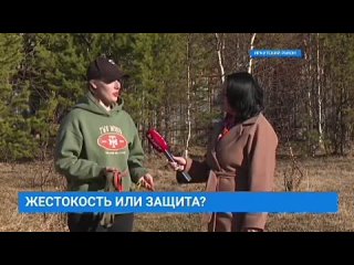 Видео от Группа помощи бездомным животным ЮЛЯ.Рыбинск