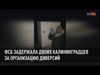 ФСБ задержала двоих калининградцев за организацию диверсий