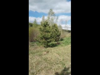 Видео от Ольги Карповой