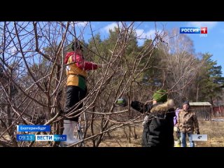 В Екатеринбурге на конкурсе профмастерства собрались лучшие обрезчики