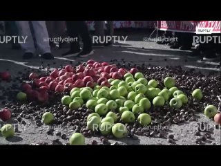 “No aceptaremos una política agrícola común que desarraigue a nuestros pueblos”: los agricultores griegos continúan manifestándo